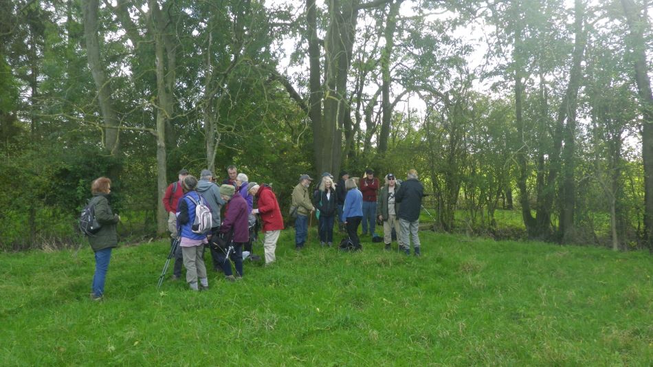 2019-10-30 02 Ilketshall St Andrew.jpg